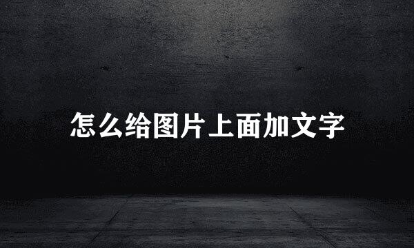 怎么给图片上面加文字