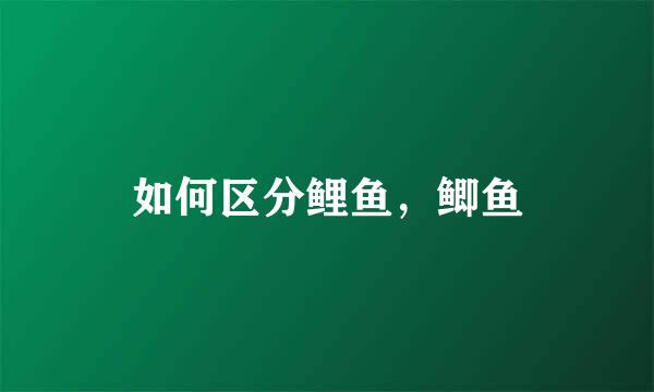 如何区分鲤鱼，鲫鱼