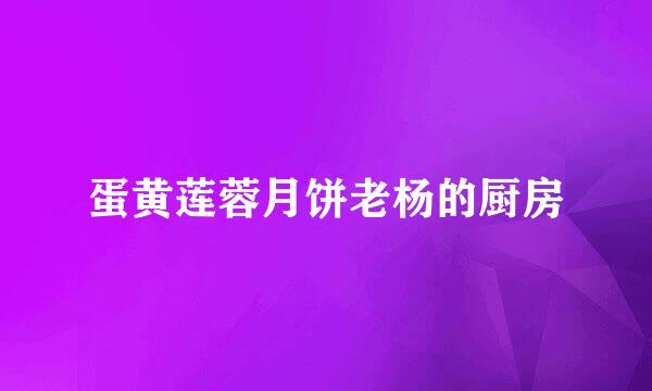 蛋黄莲蓉月饼老杨的厨房
