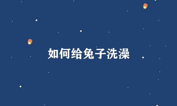 如何给兔子洗澡