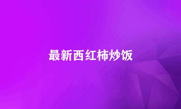 最新西红柿炒饭