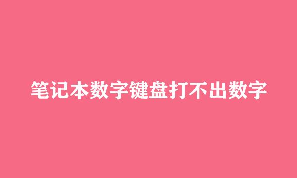 笔记本数字键盘打不出数字
