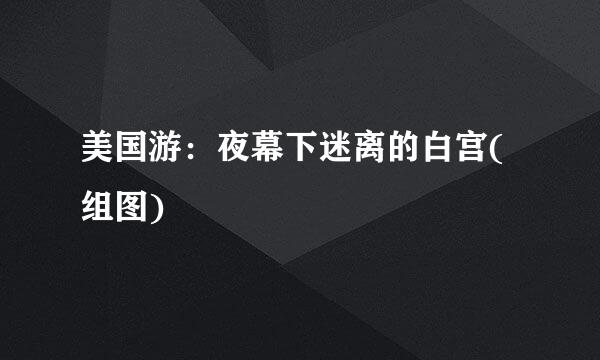美国游：夜幕下迷离的白宫(组图)