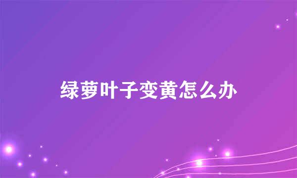 绿萝叶子变黄怎么办