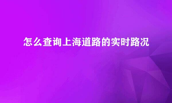 怎么查询上海道路的实时路况