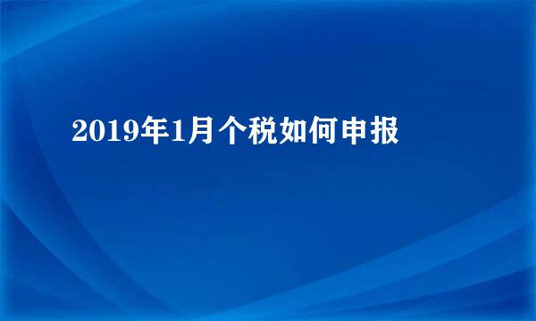 2019年1月个税如何申报