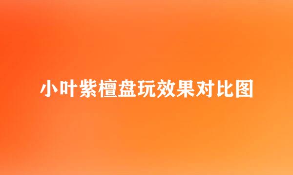 小叶紫檀盘玩效果对比图