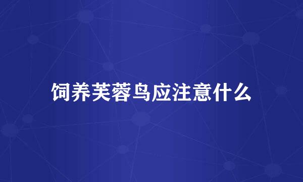 饲养芙蓉鸟应注意什么