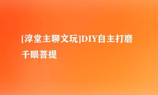 [淳堂主聊文玩]DIY自主打磨千眼菩提