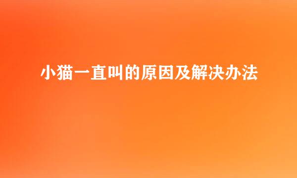 小猫一直叫的原因及解决办法