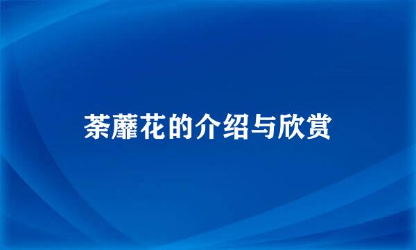 荼蘼花的介绍与欣赏
