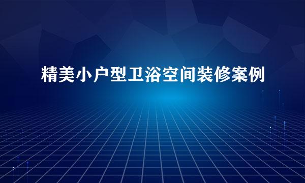 精美小户型卫浴空间装修案例