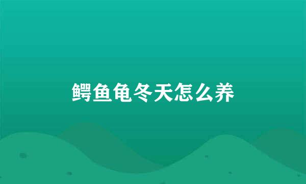 鳄鱼龟冬天怎么养