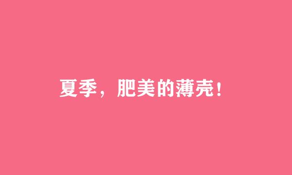 夏季，肥美的薄壳！