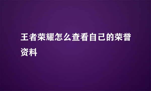 王者荣耀怎么查看自己的荣誉资料