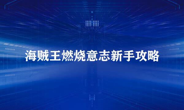 海贼王燃烧意志新手攻略