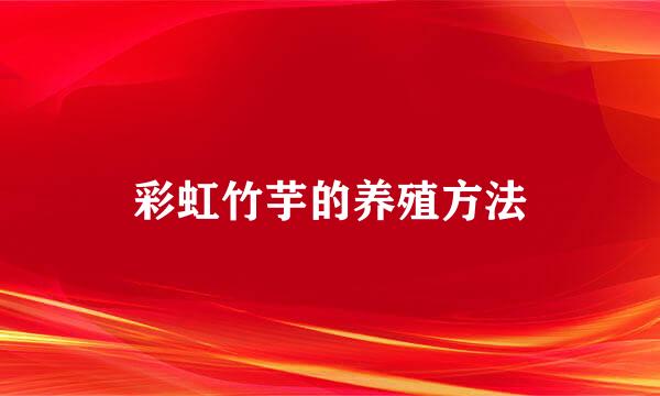彩虹竹芋的养殖方法