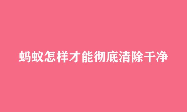 蚂蚁怎样才能彻底清除干净