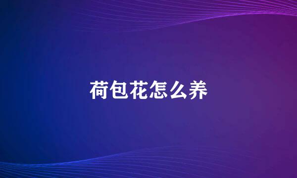 荷包花怎么养
