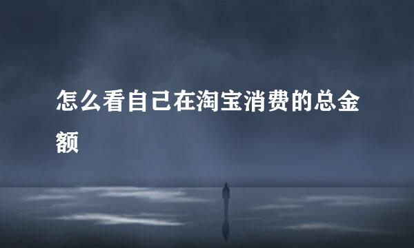 怎么看自己在淘宝消费的总金额