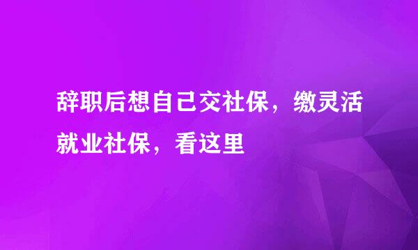 辞职后想自己交社保，缴灵活就业社保，看这里