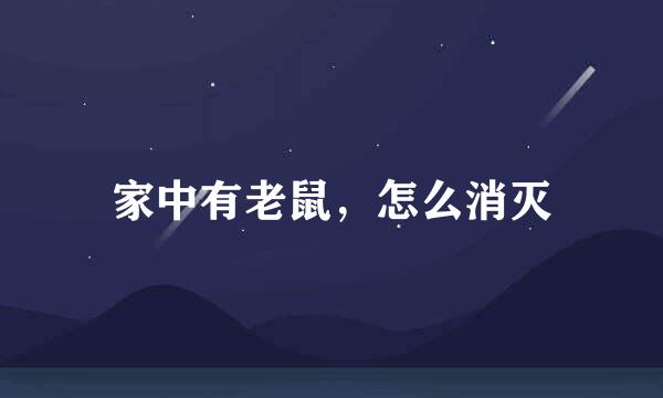 家中有老鼠，怎么消灭