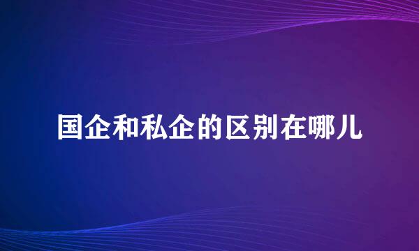 国企和私企的区别在哪儿