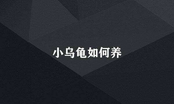 小乌龟如何养