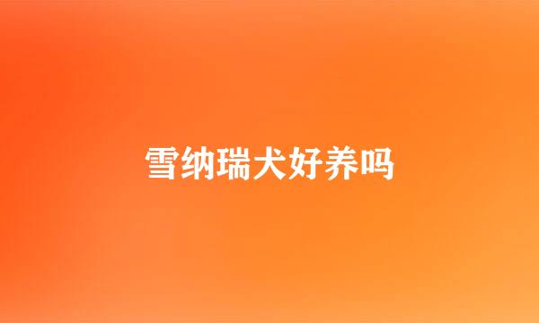 雪纳瑞犬好养吗
