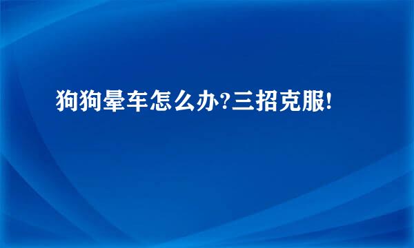 狗狗晕车怎么办?三招克服!
