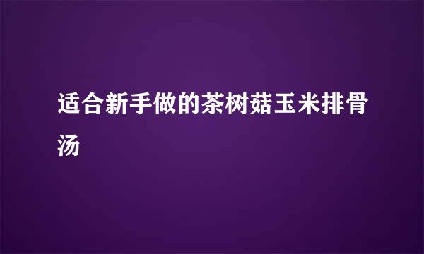 适合新手做的茶树菇玉米排骨汤