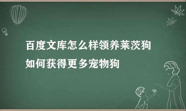 百度文库怎么样领养莱茨狗 如何获得更多宠物狗