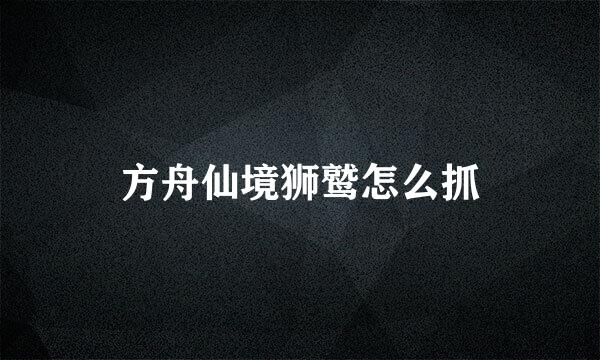方舟仙境狮鹫怎么抓
