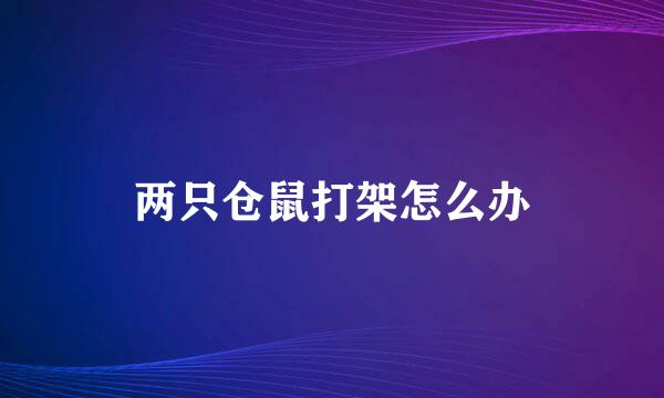 两只仓鼠打架怎么办