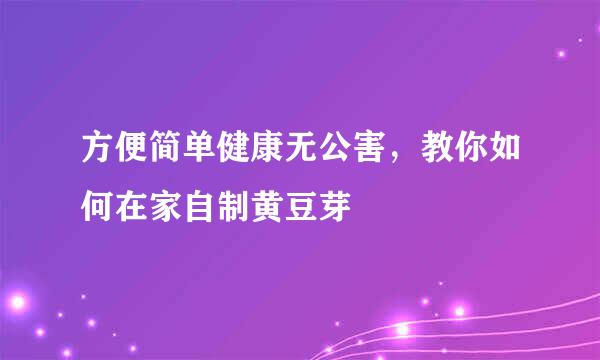 方便简单健康无公害，教你如何在家自制黄豆芽