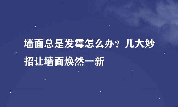 墙面总是发霉怎么办？几大妙招让墙面焕然一新