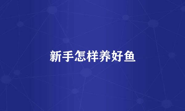 新手怎样养好鱼