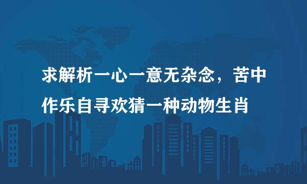 求解析一心一意无杂念，苦中作乐自寻欢猜一种动物生肖
