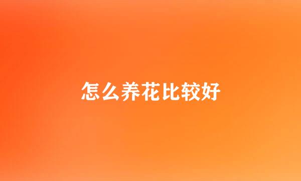 怎么养花比较好