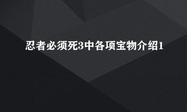 忍者必须死3中各项宝物介绍1