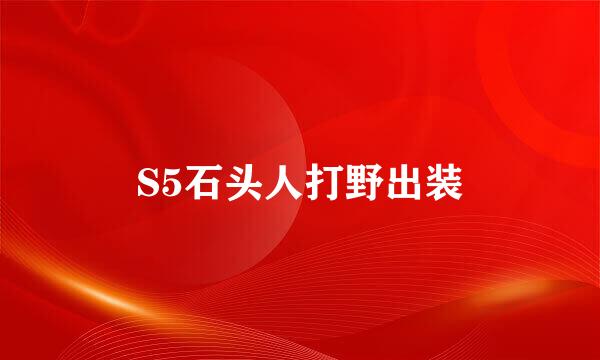 S5石头人打野出装