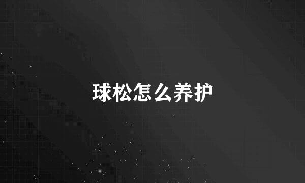 球松怎么养护
