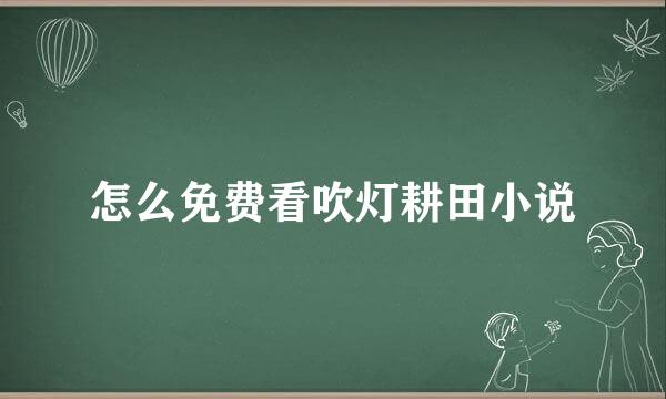 怎么免费看吹灯耕田小说