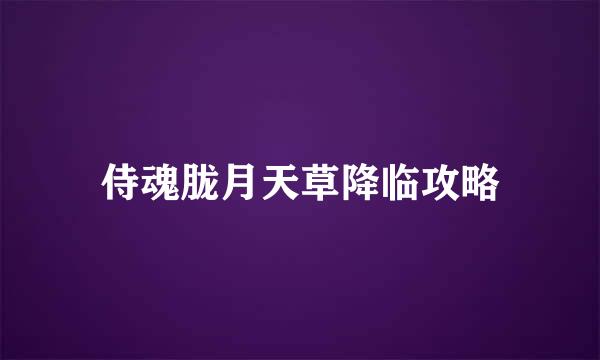 侍魂胧月天草降临攻略