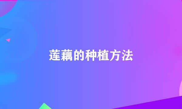 莲藕的种植方法