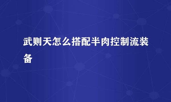 武则天怎么搭配半肉控制流装备