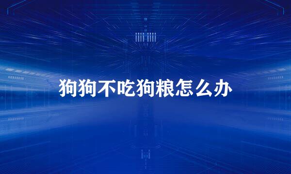 狗狗不吃狗粮怎么办