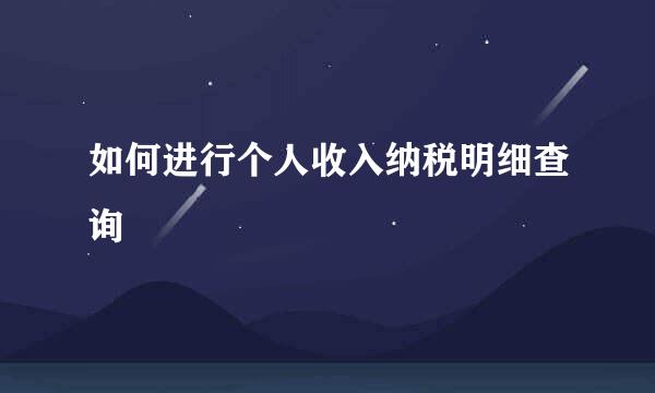 如何进行个人收入纳税明细查询