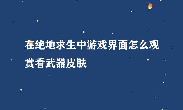 在绝地求生中游戏界面怎么观赏看武器皮肤