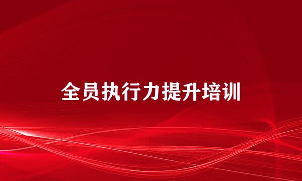 全员执行力提升培训